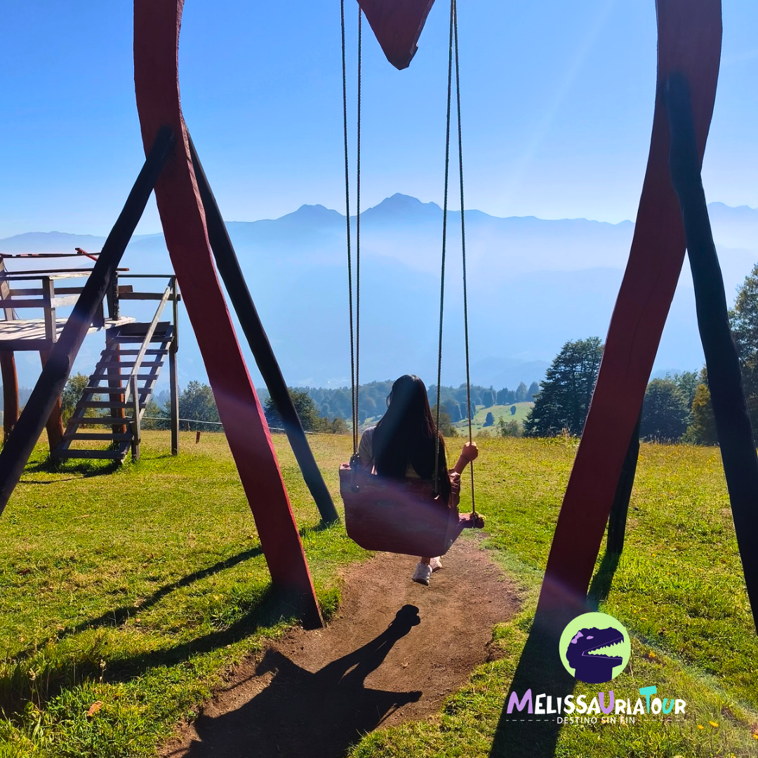 Grupo de visitantes realizando excursión guiada con Melissauria Tour en Panguipulli.