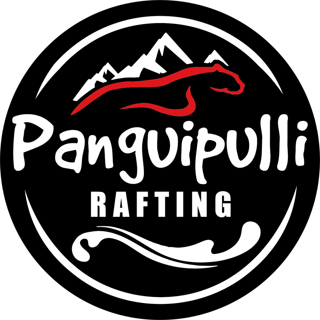 Logo de Panguipulli Rafting, empresa especializada en rafting en los ríos Fuy y San Pedro.
