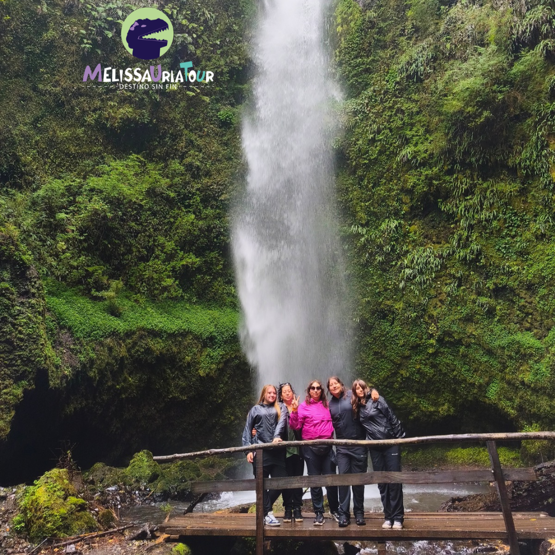 Grupo de visitantes en una pasarela de madera frente a una cascada rodeada de bosque nativo durante una excursión con Melissauria Tour.