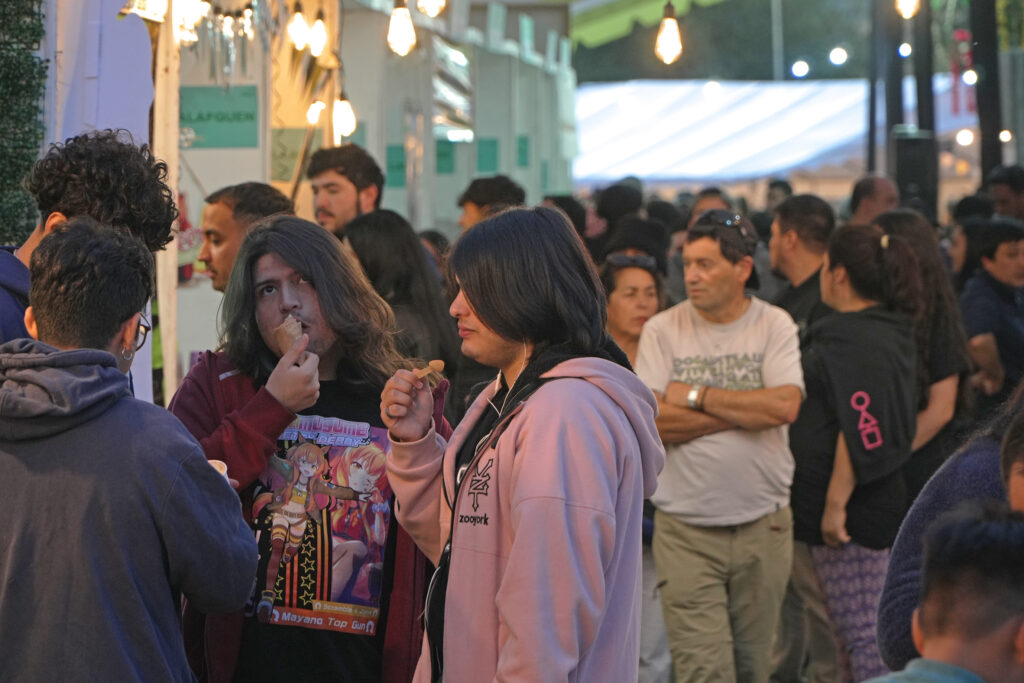 Eventos de verano en Panguipulli Sietelagos con actividades deportivas, culturales y musicales