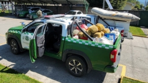 Redes de pesca ilegales incautadas en Lago Neltume durante fiscalización.