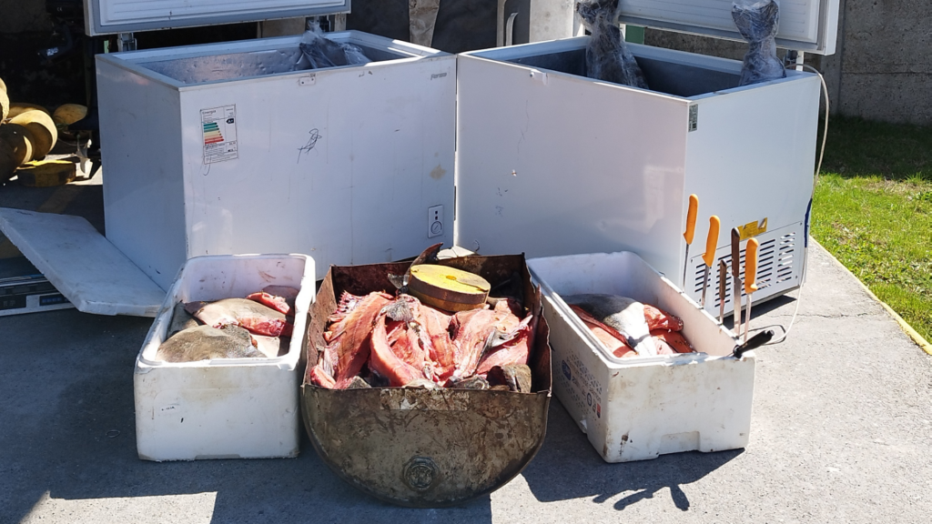 Operativo de fiscalización que desbarató planta ilegal de salmones en Lago Neltume, Panguipulli.