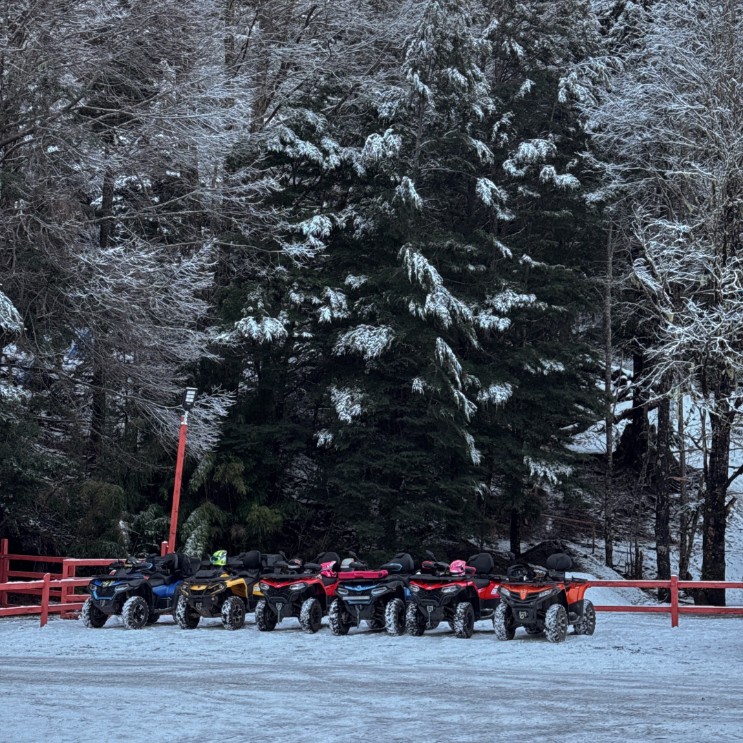 Cuatrimotos estacionadas sobre un paisaje nevado rodeado de bosque nativo en Coñaripe.